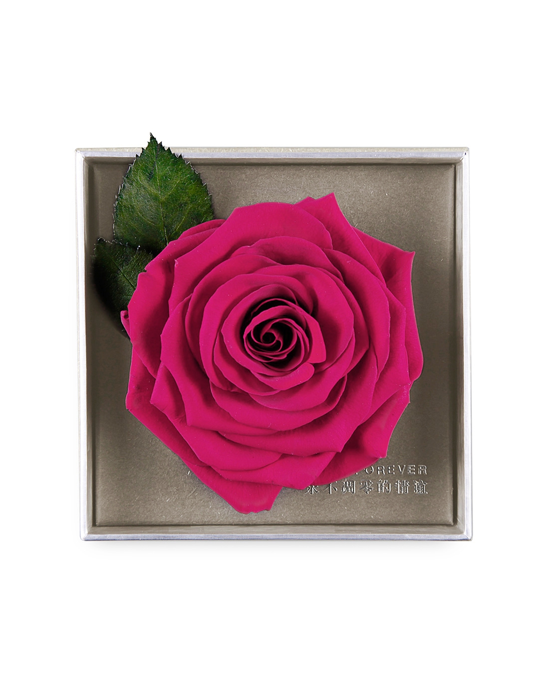 玫红厄瓜多尔巨型永生玫瑰单只礼盒