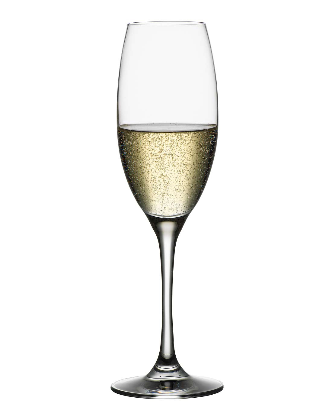 champagne 香槟杯 258 ml