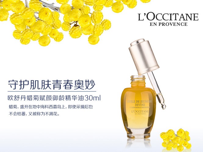 蜡菊精华油