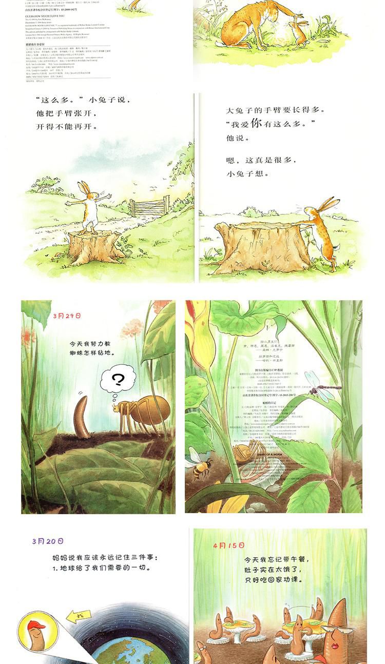 信谊世界精选图画书:猜猜我有多爱你 爷爷一定有办法等(套装共4册)