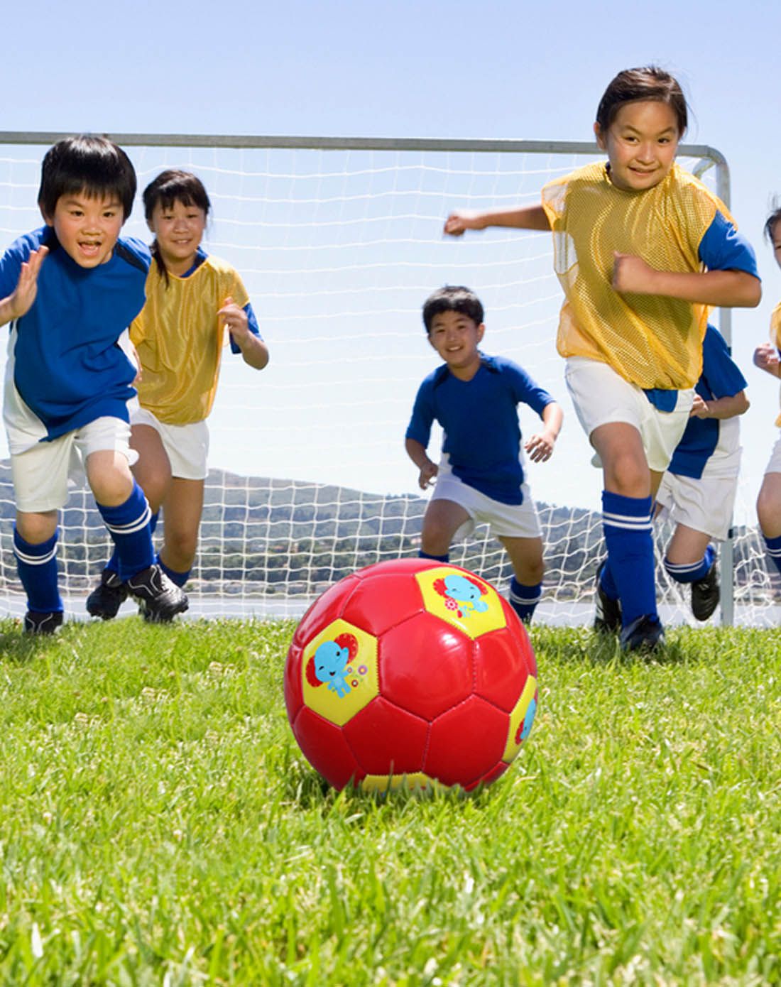 R-PRICE玩具专场Fisher Price 费雪儿童足球1