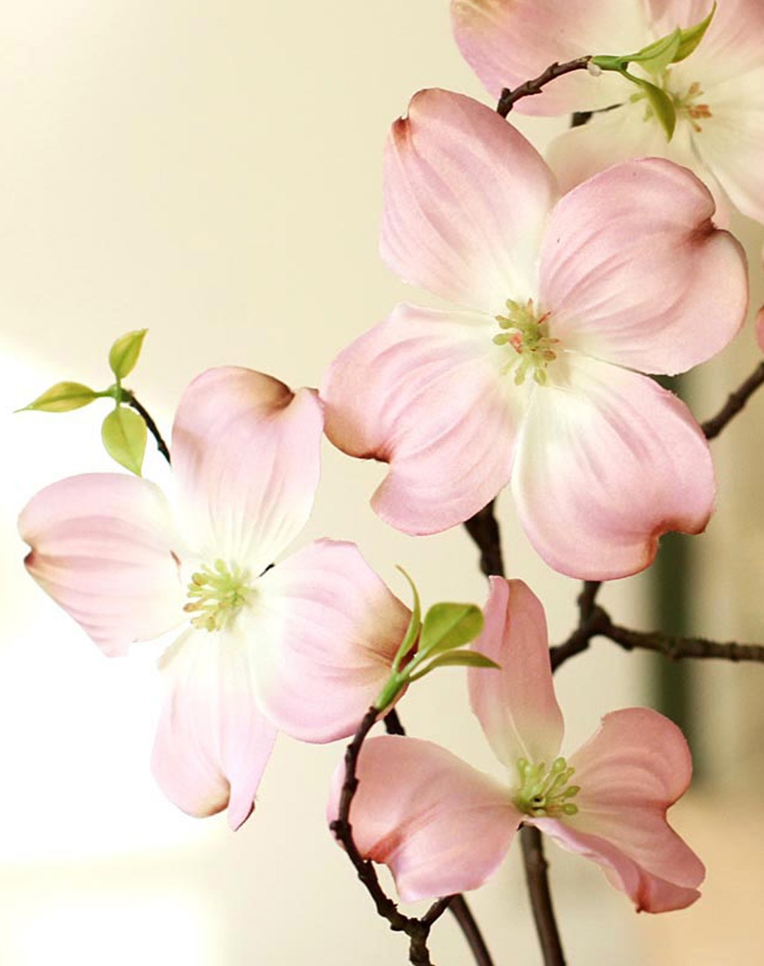 粉白清新高雅枸木花配欧式花瓶套装