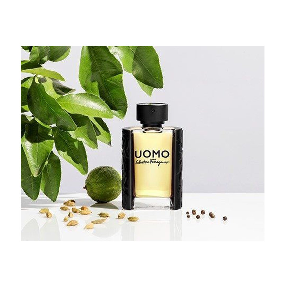【持久留香】菲拉格慕ferragamo 峰范男士淡香水(uomo)30ml 男士香水