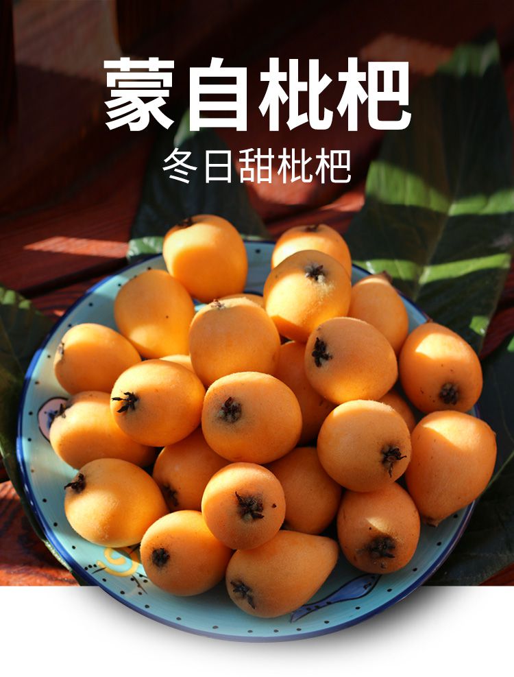 菓宝云南蒙自枇杷礼盒装(精品果)1.5kg/箱