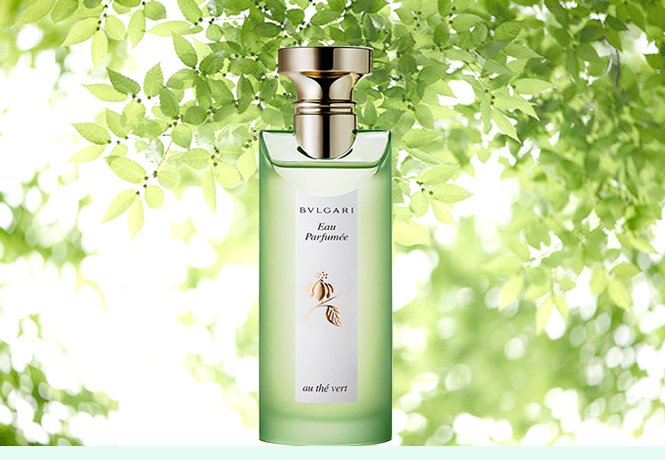 宝格丽 宝格丽绿色经典淡香水(绿茶香)40ml