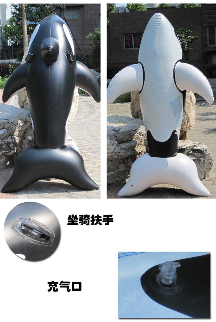 193cm119cm可爱大黑鲸坐骑