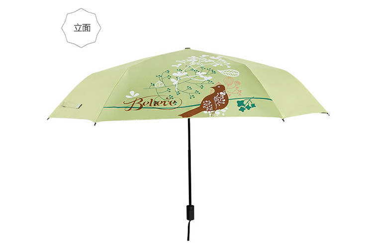 中国浙江 材质: 钢杆 规格: 52cm*6k 伞面工艺: 印染 伞种类: 晴雨伞