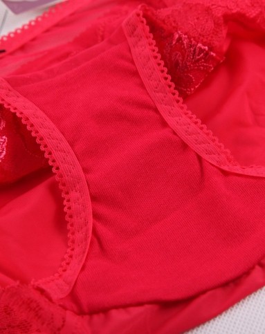 女款浅红色自然花卉刺绣中低腰平角内裤