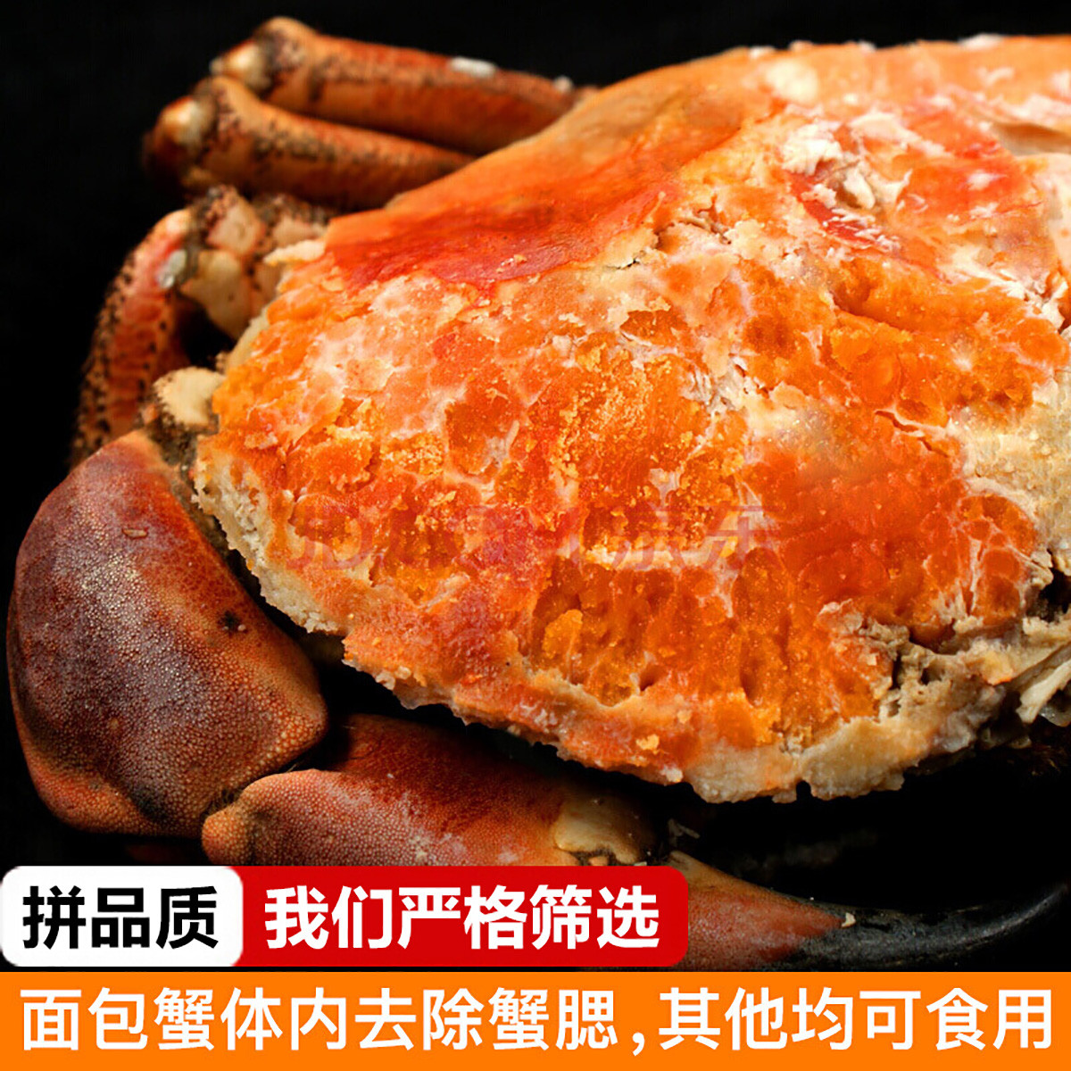 爱尔兰面包蟹鲜活熟冻超大螃蟹海鲜年货梭子蟹黄金蟹