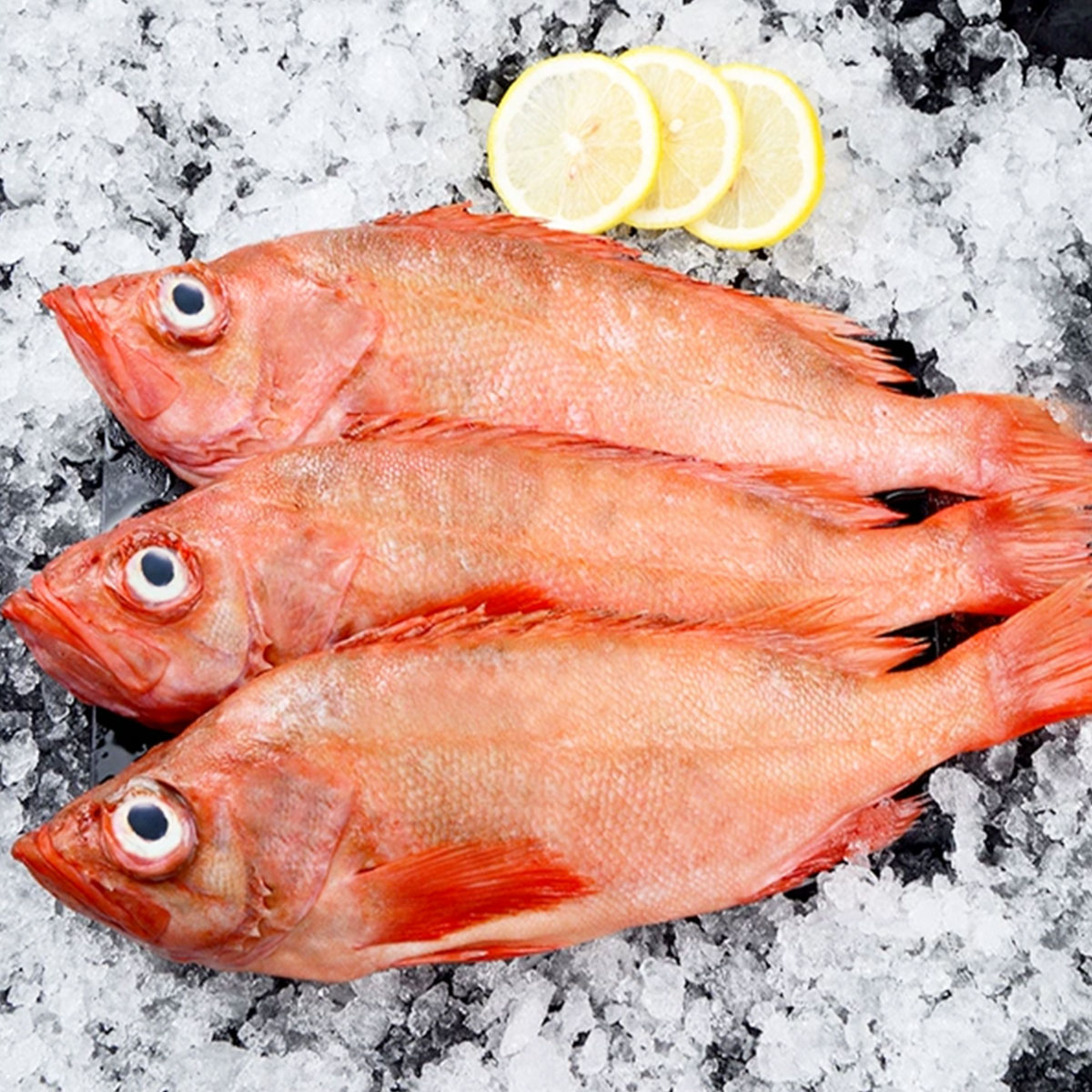 【三去】冰岛红石斑鱼约400-500g/条去鳞去腮去内脏中通/圆通随机