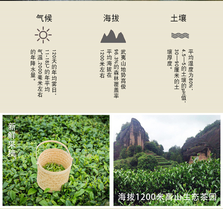 老枞水仙茶百年老枞武夷岩茶500g 包装袋子颜色随机