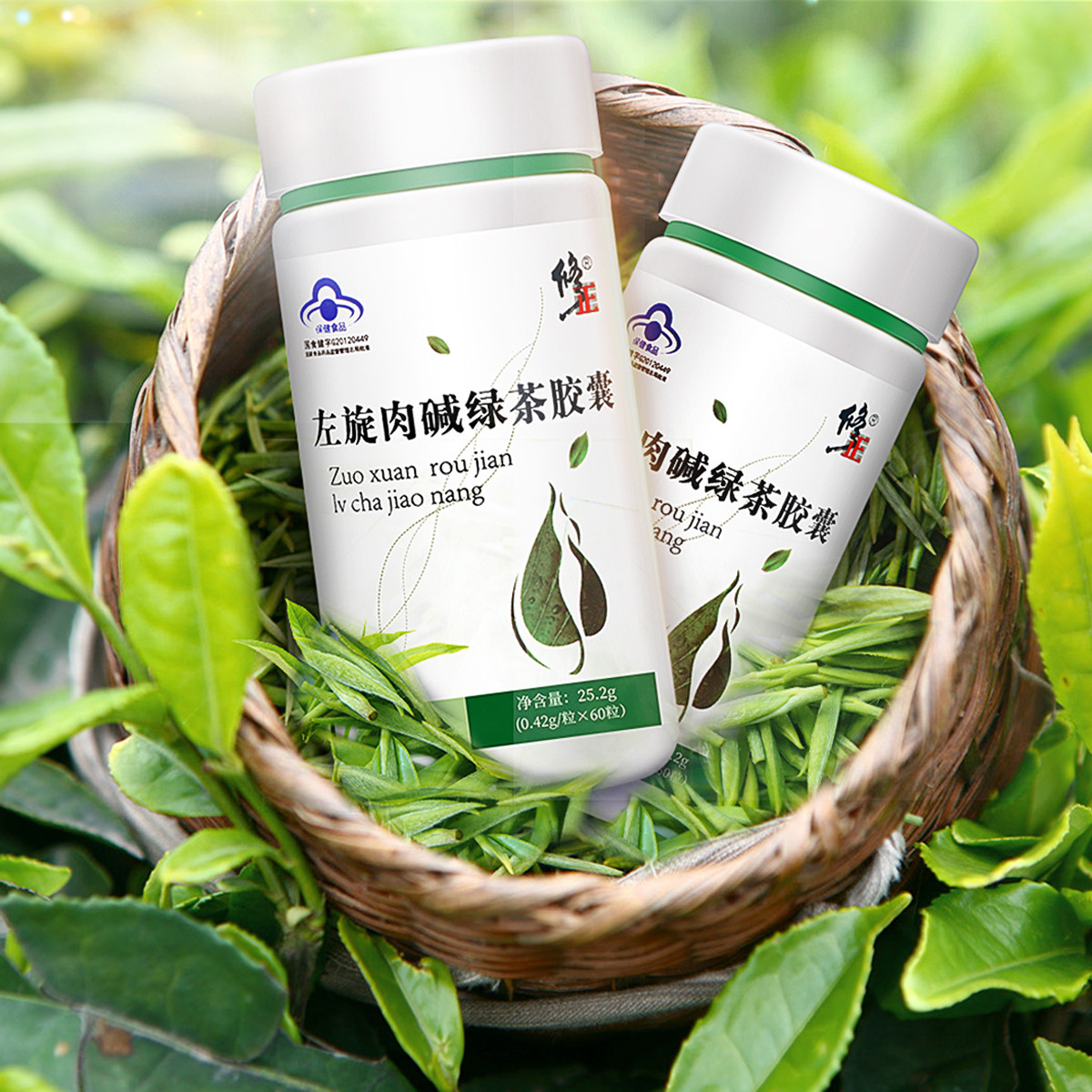 修正懒人顽固型减肥药正品减肥瘦身燃脂搭代餐粉左旋肉碱绿茶胶囊