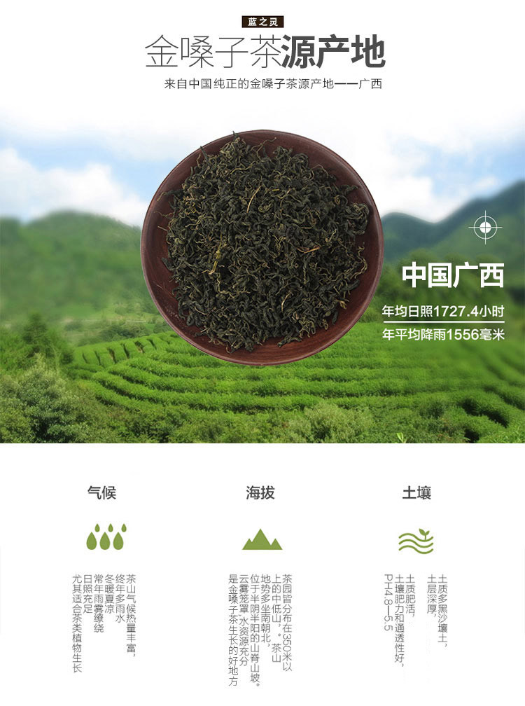 金嗓子100g 金嗓子茶叶 花草茶