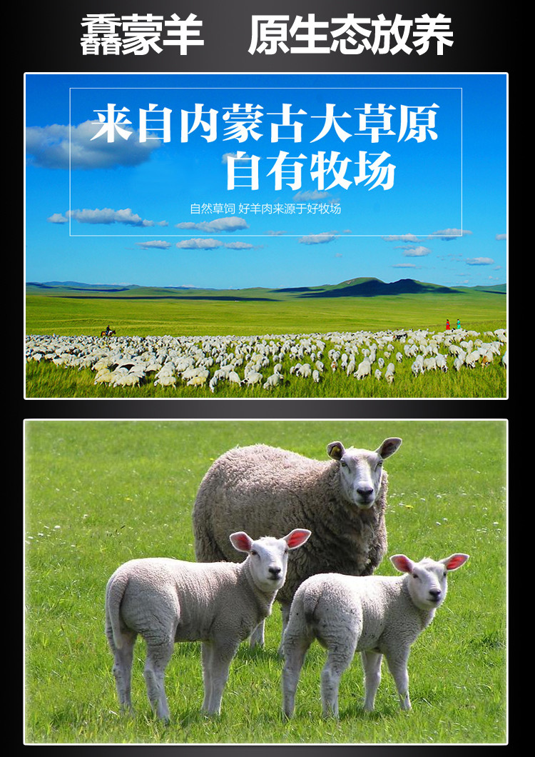 内蒙古羊尾油 乌珠穆沁大尾羊脂肪烧烤食材 羊肉串