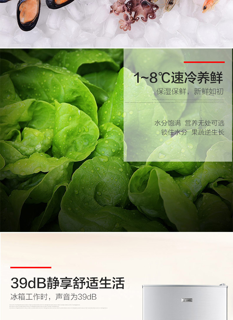 雪花双门迷你小型电冰箱家用冷藏冷冻小型冰箱迷你