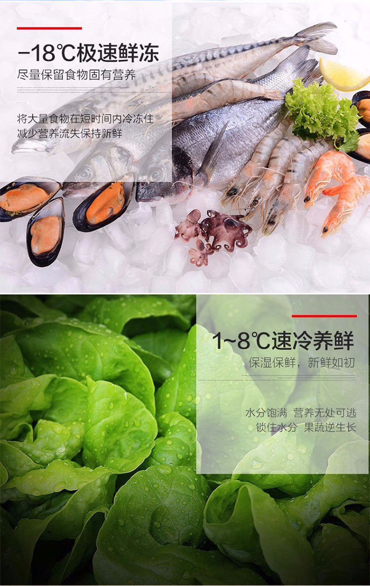 雪花双门迷你小冰箱家用冷藏冷冻小型冰箱迷你冰箱118