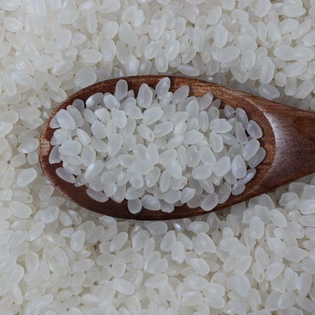 东北大米2.5kg 黑龙江天特产大米包邮