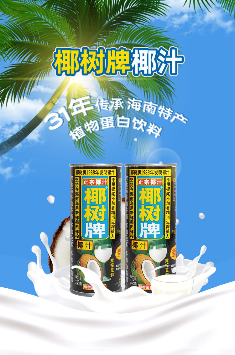 椰汁海南特产椰子汁椰奶饮料245ml*6/罐早餐