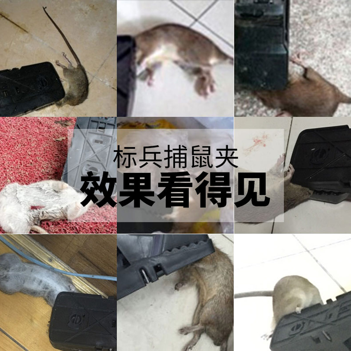 老鼠夹捕鼠器家用灭杀抓老鼠笼子扑逮捕老鼠神器克星捕鼠夹全自动