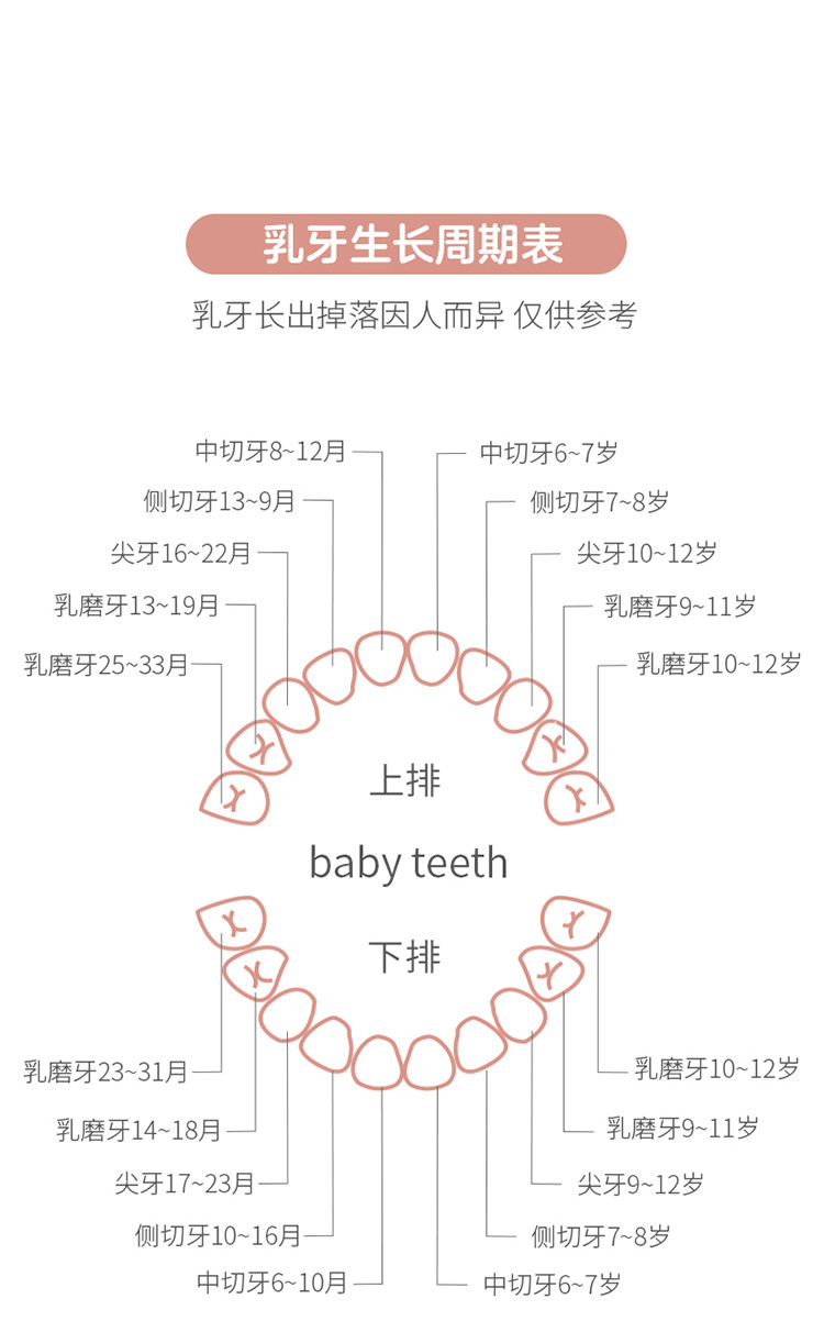 儿童生肖乳牙盒女孩换牙收纳盒宝宝男孩装牙齿的纪念盒子