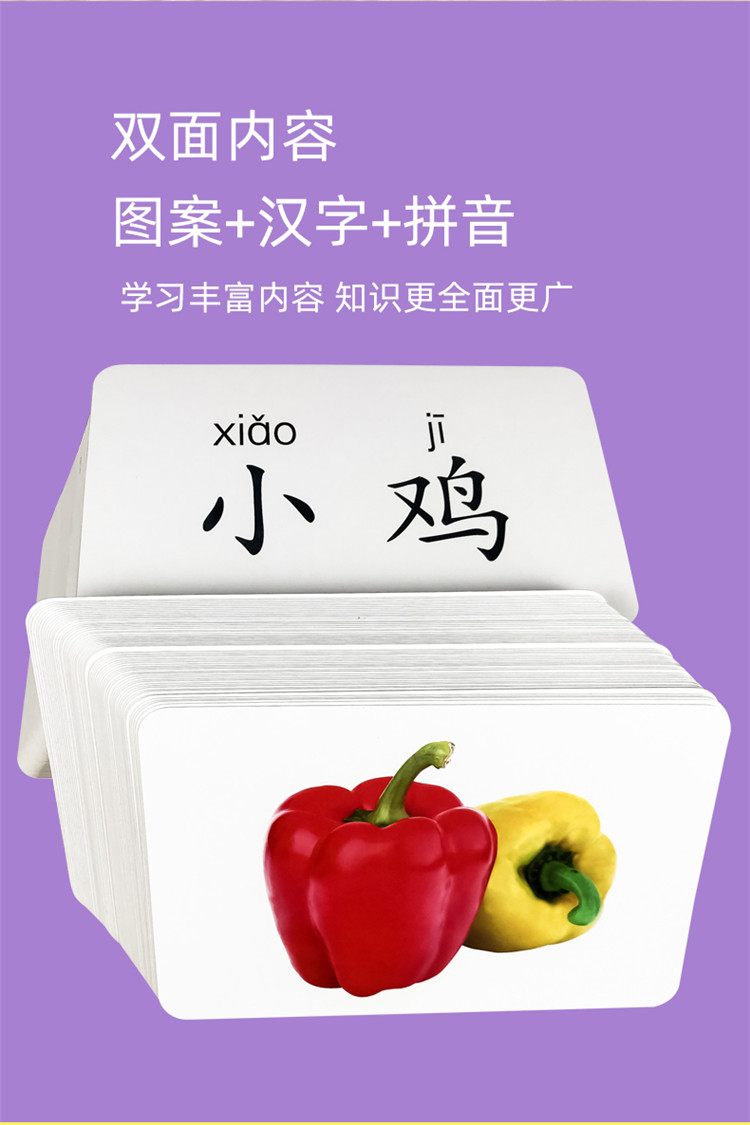 儿童启蒙大图大字认知早教卡片儿童学前看图识字认字注音版玩具