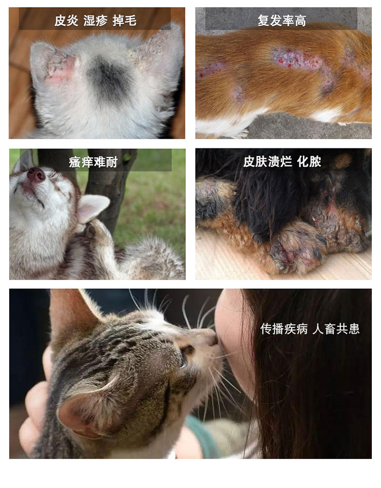 狗狗猫咪通用体外驱虫药喷剂驱除跳蚤蜱虫虱子螨虫除螨杀菌100ml