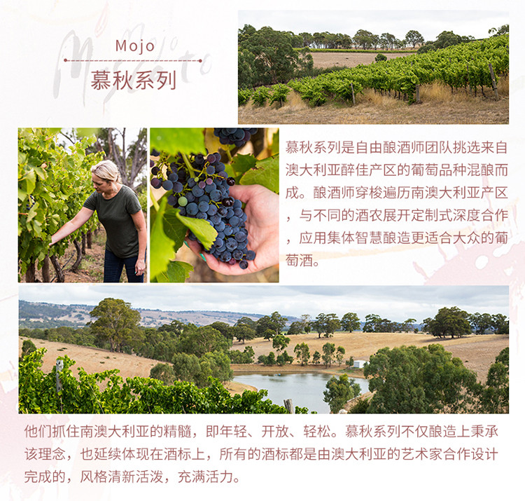 澳大利亚原瓶进口慕秋 mojo 密斯卡岱桃红葡萄酒