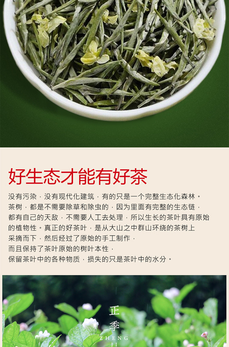 茉莉针王2021新茶飘雪浓香型茉莉银针王茉莉花茶兰妃