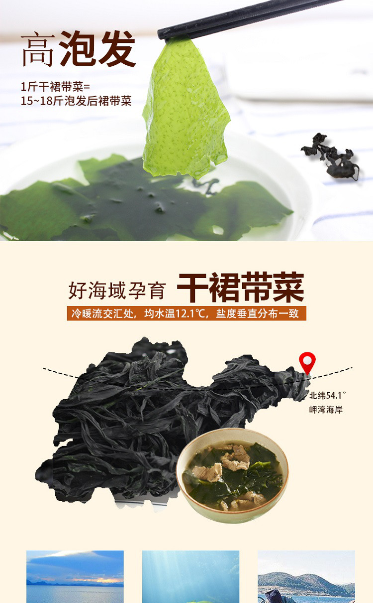 盛源来干裙带菜干货韩国海带汤韩式海群裙菜芽脂肪特级儿童裙苗0