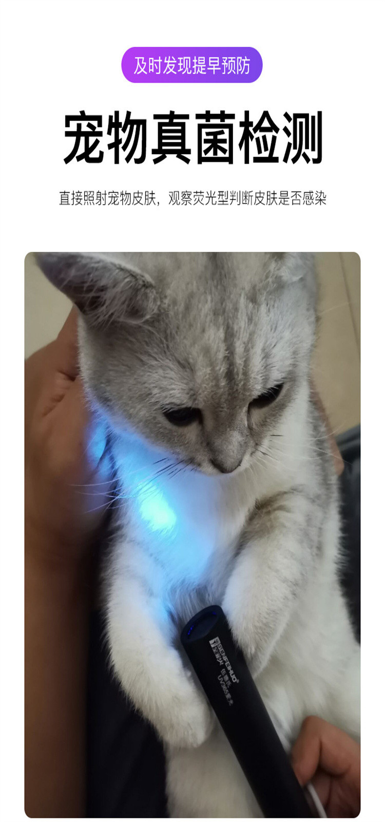新款led伍德氏紫光灯猫藓灯宠物荧光防伪检测灯usb充电手电筒