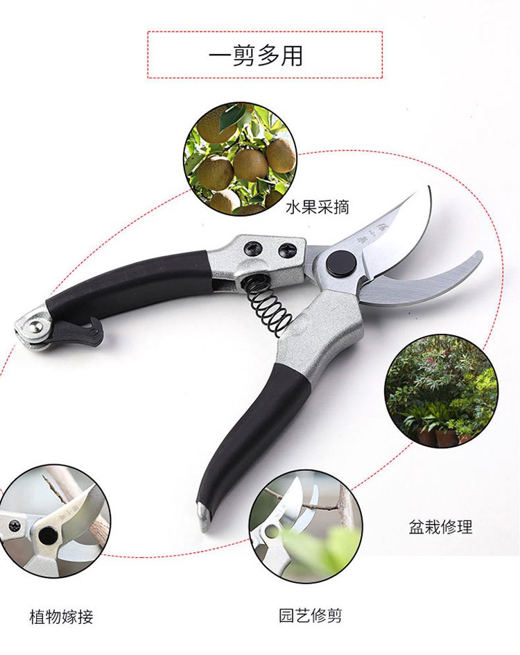 修树枝剪园林园艺剪刀果树修剪工具果园家用园艺剪刀张小泉剪刀