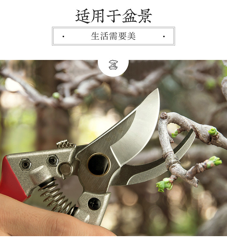 修树枝剪园林园艺剪刀果树修剪工具果园家用园艺剪刀张小泉剪刀
