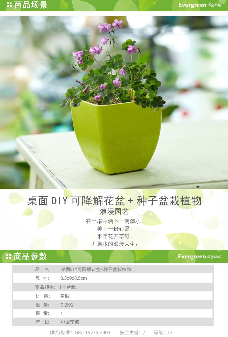 【两件起售】diy花盆 种子(四叶草)