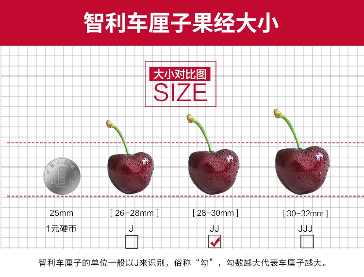 齐峰缘 进口智利车厘子2斤装jj级大果新鲜水果大樱桃