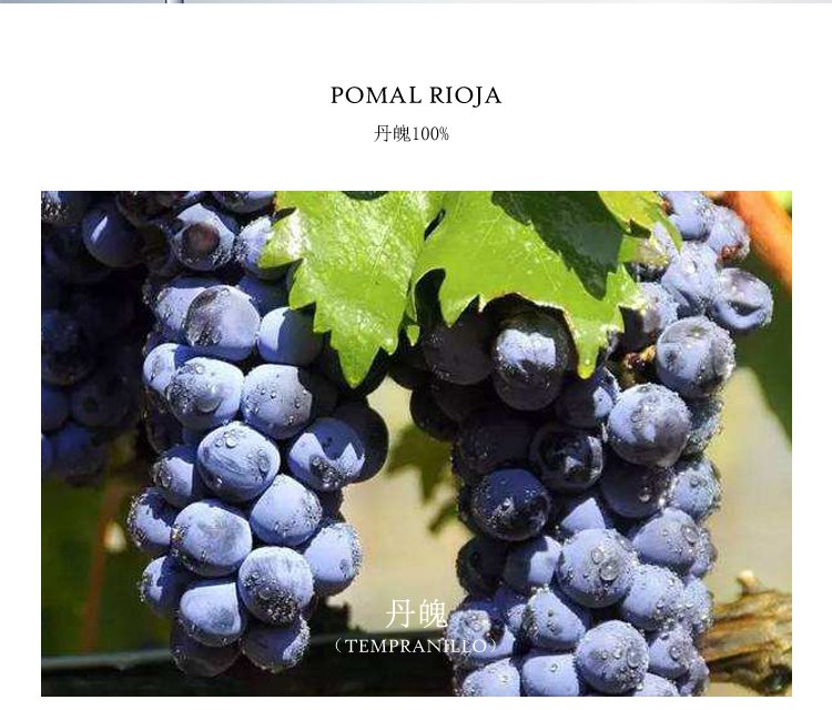 阿尔塔酒庄里奥哈产区桃红葡萄酒