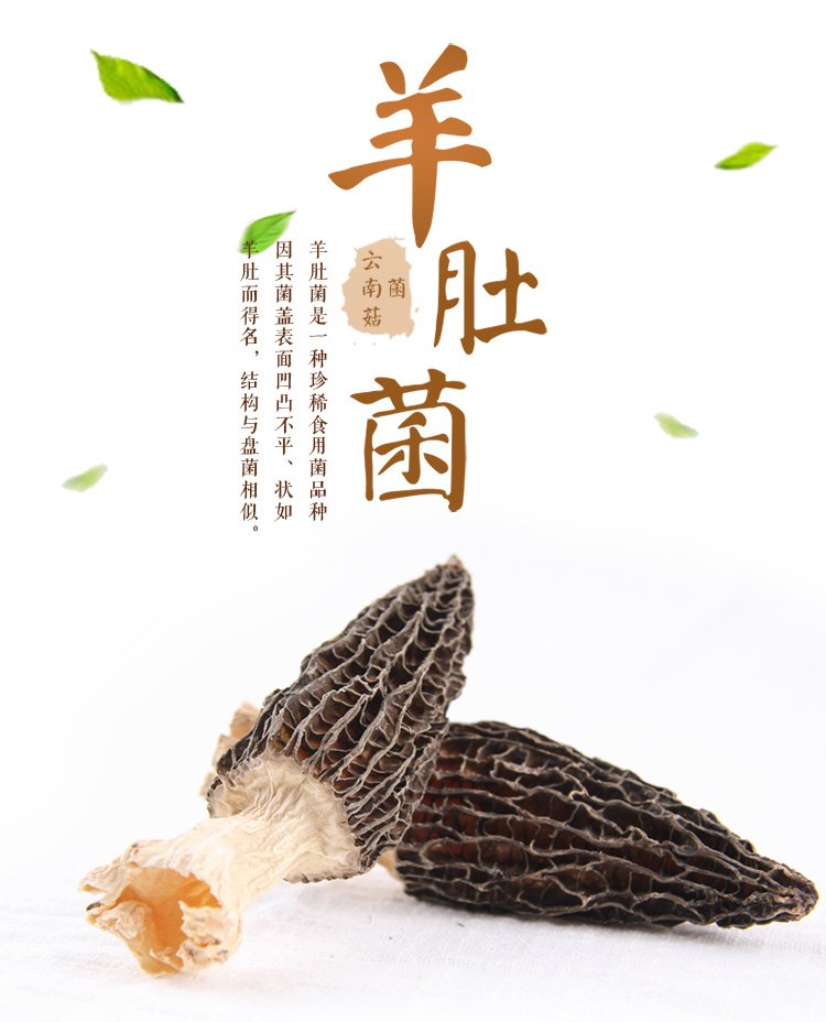 羊肚菌35g 蘑菇菌菇特产 南北干货煲汤食材