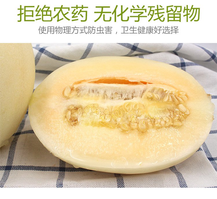 山东东方蜜瓜5斤装 新鲜时令水果甜瓜 香甜多汁好吃