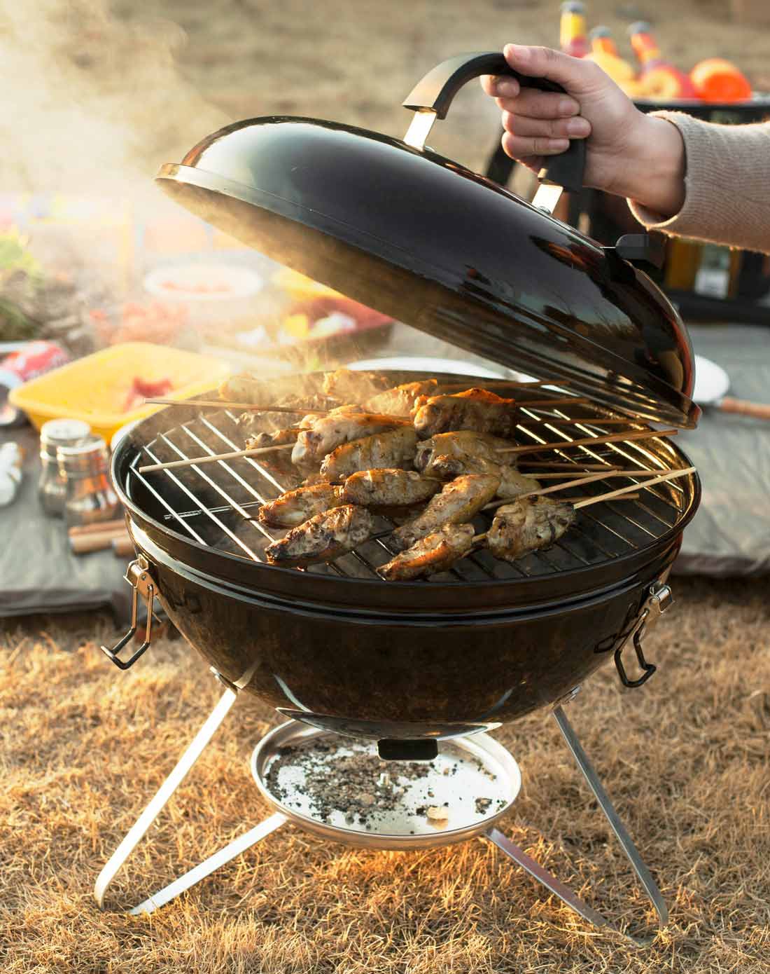 烧烤世家e-rover专场小王子高光搪瓷原生态焖烤炭烤炉cf-e112007_唯品