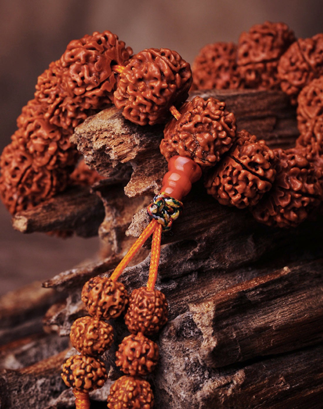 印度野生酥油供养6瓣金刚菩提(矮桩)肉纹手串
