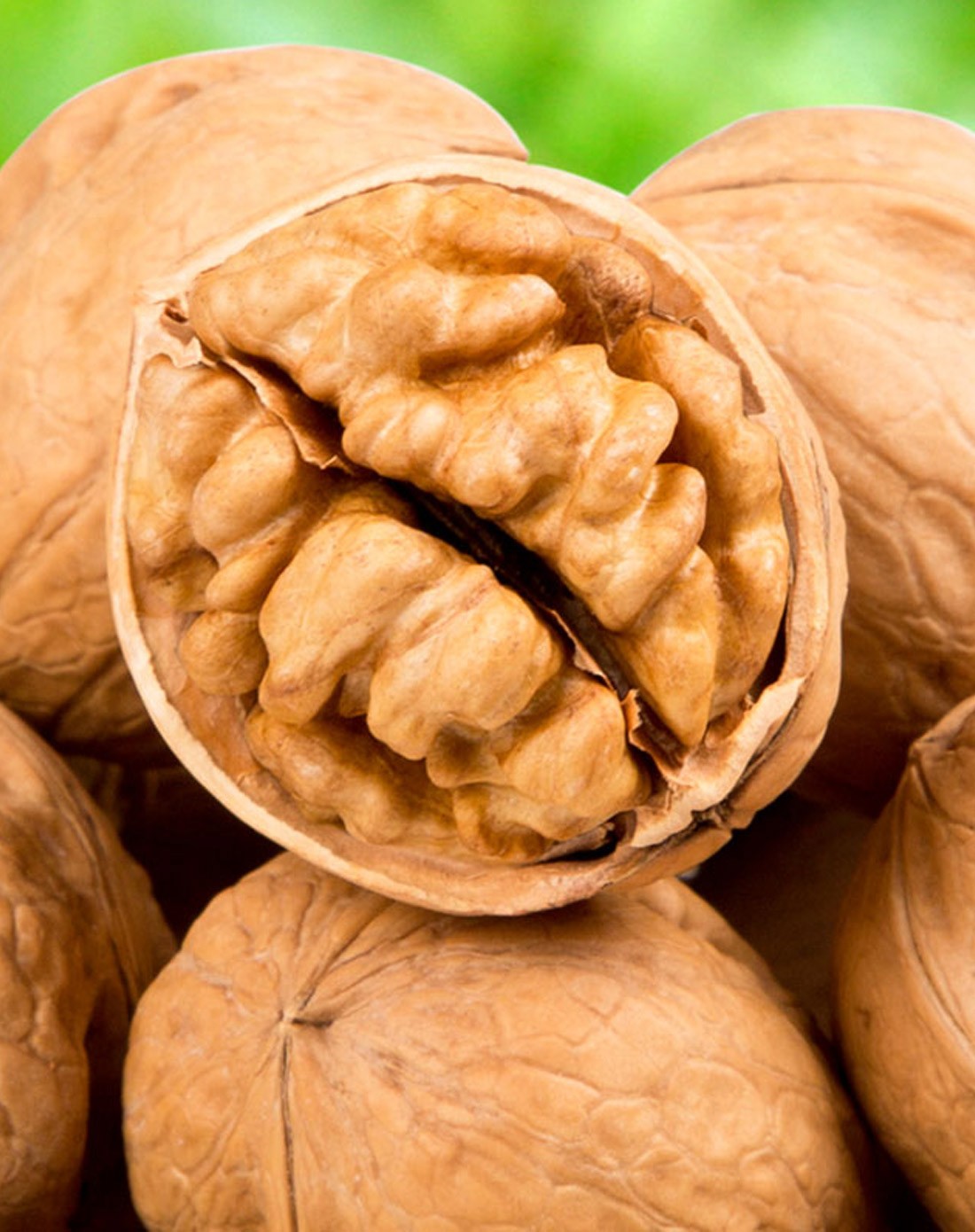 纸皮核桃(熟)160gx4袋