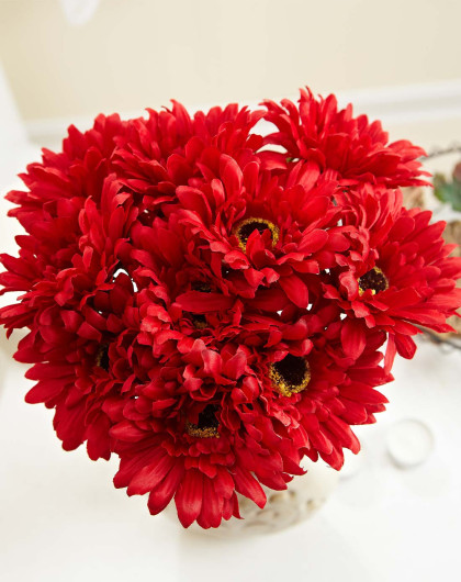 红色非洲菊花束图片