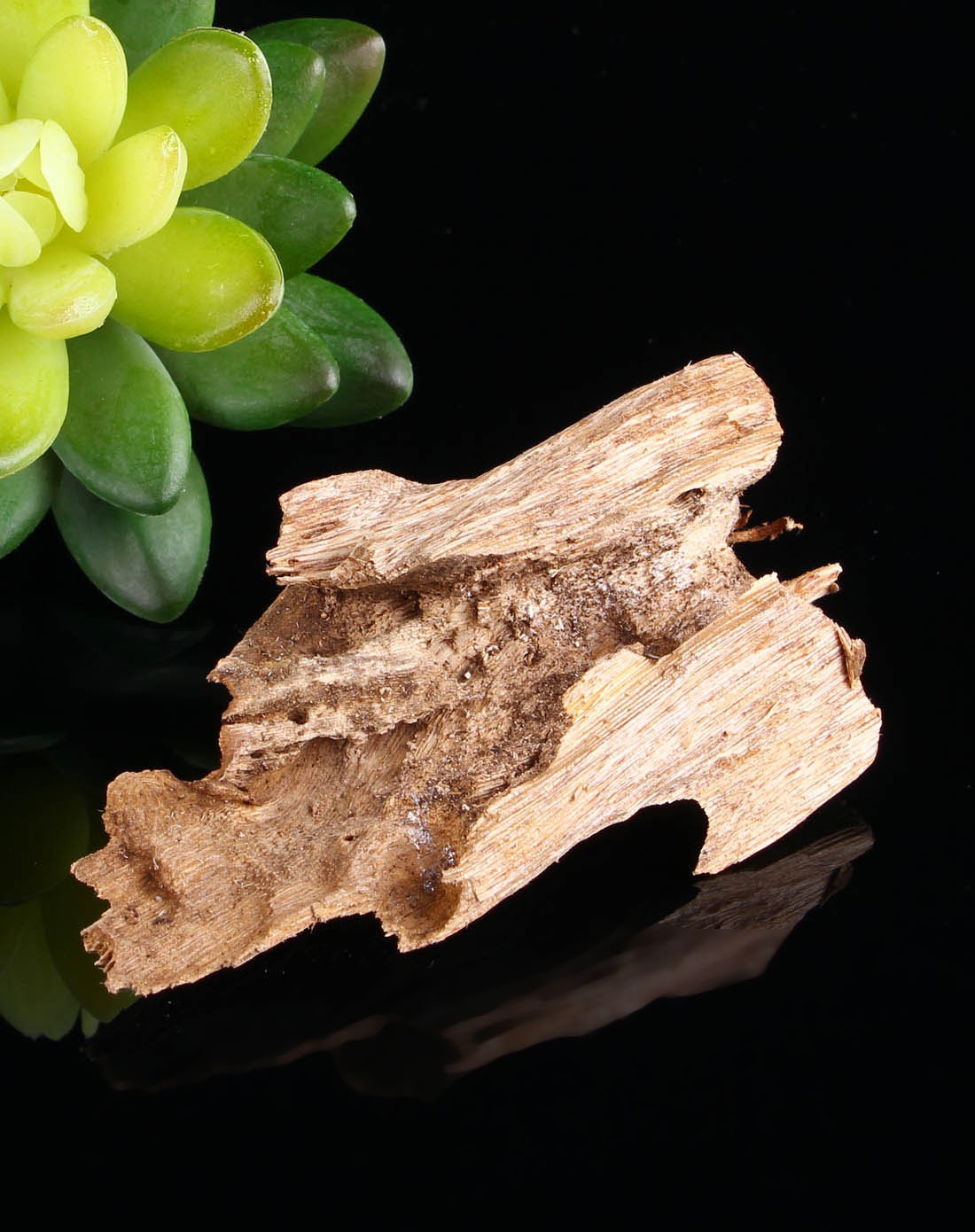 天然野生沉香-莞香虫漏原材料