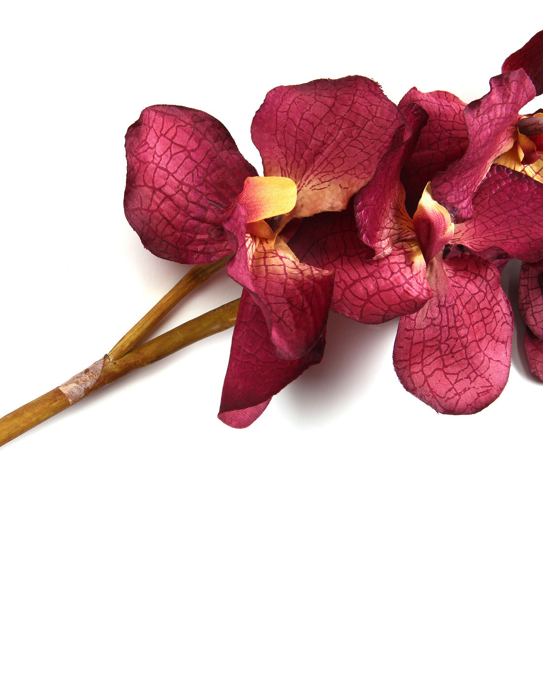 单支万代兰高档仿真花(酒红色)