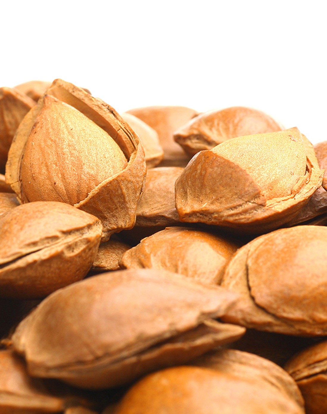 新疆坚果食品专场新疆香脆手剥小银杏320g(新旧包装随机发货)