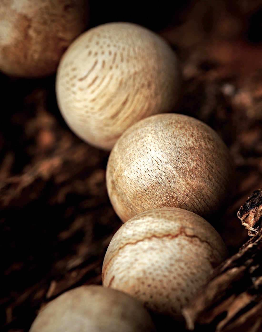 伊利安天然野生林间采摘沉香16mm手串