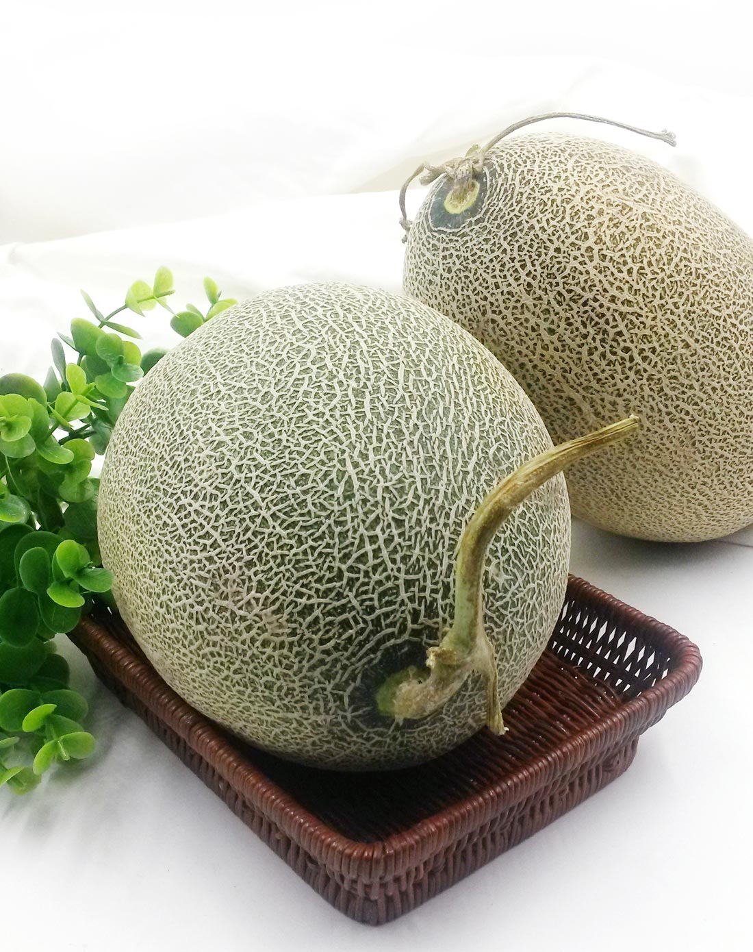 西州蜜哈密瓜 1个