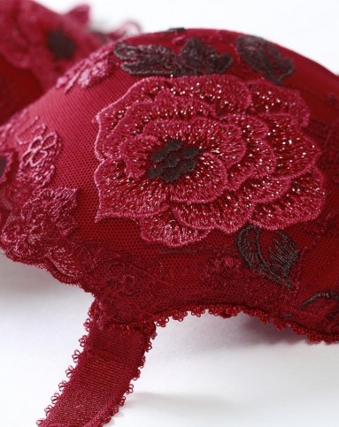 歌瑞尔gainreel内衣专场芬芳花语红色聚拢刺绣女士文胸ahb14386crd01_