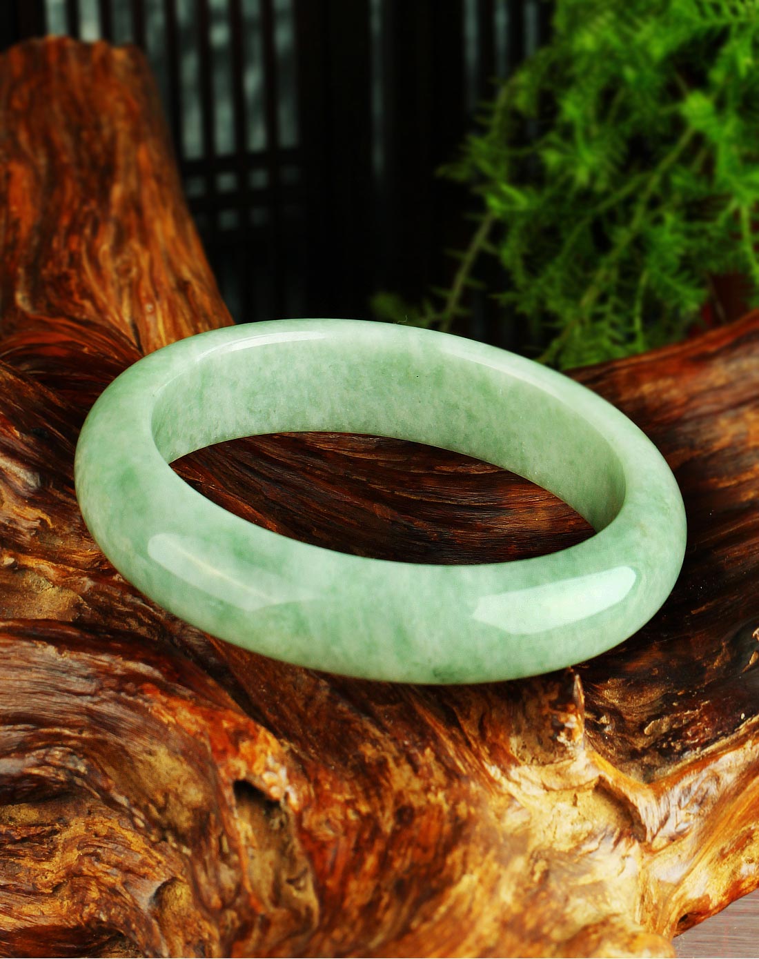 女款天然a货翡翠豆青手镯附证书