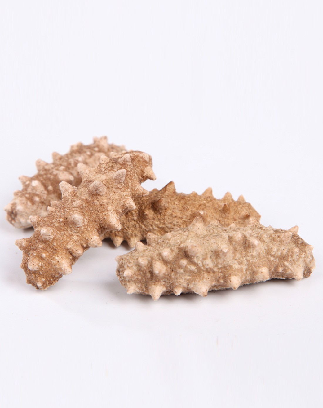 深海礁一级宇航冻干海参12g(10-12只)礼盒家庭装