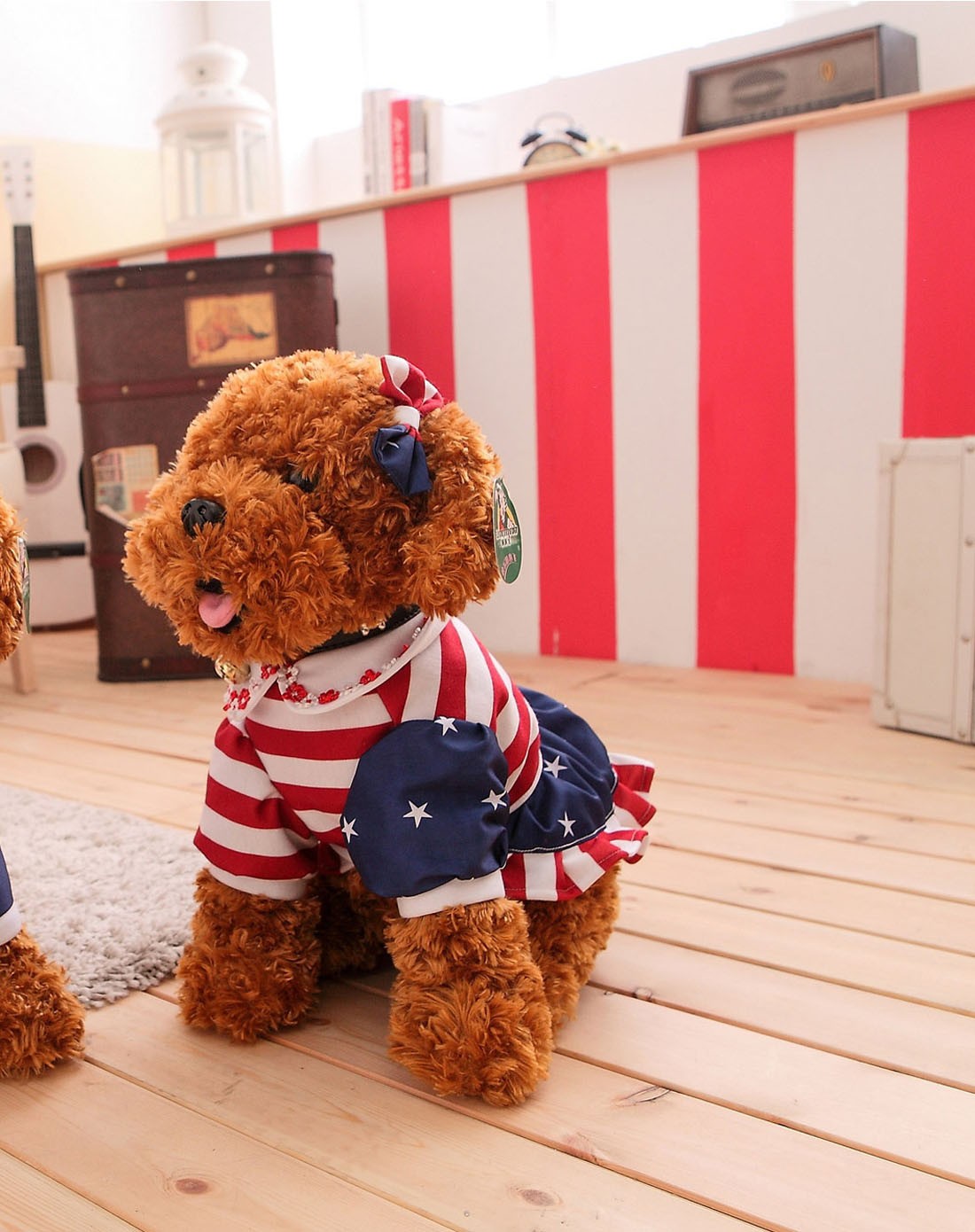 棕色蹲姿女款泰迪犬40厘米